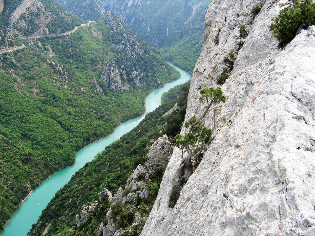 L'Orangette Bed & Breakfast Régusse Dış mekan fotoğraf